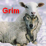Grim's Photo